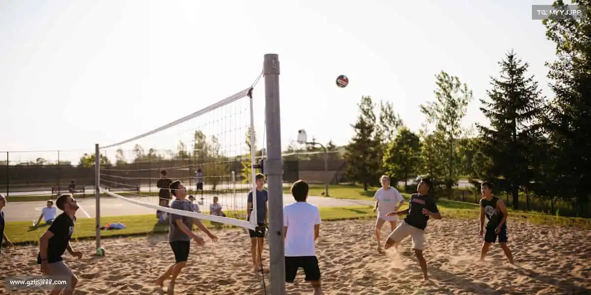 为什么选择我们